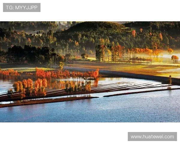尊龙D88旗舰：实现家庭智能化升级的核心设备之一