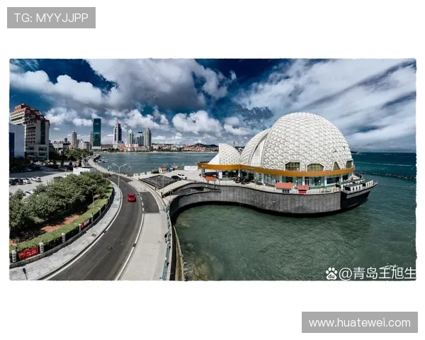 海上皇宫娱乐：海上皇宫娱乐活动丰富多彩让您流连忘返